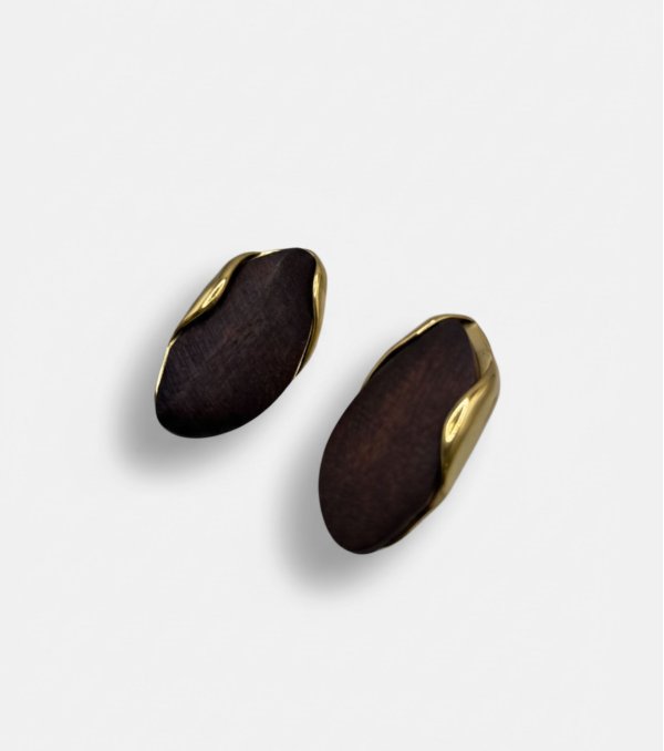 Pendientes SP250814-2 Marrón 